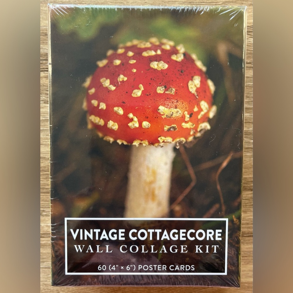 NIP VINTAGE COTTAGE CORE WALL COLLAGE KIT 60 4” x 6” Poster Cards Whimsical